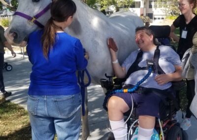 Girl in a wheelchair grooming a horse