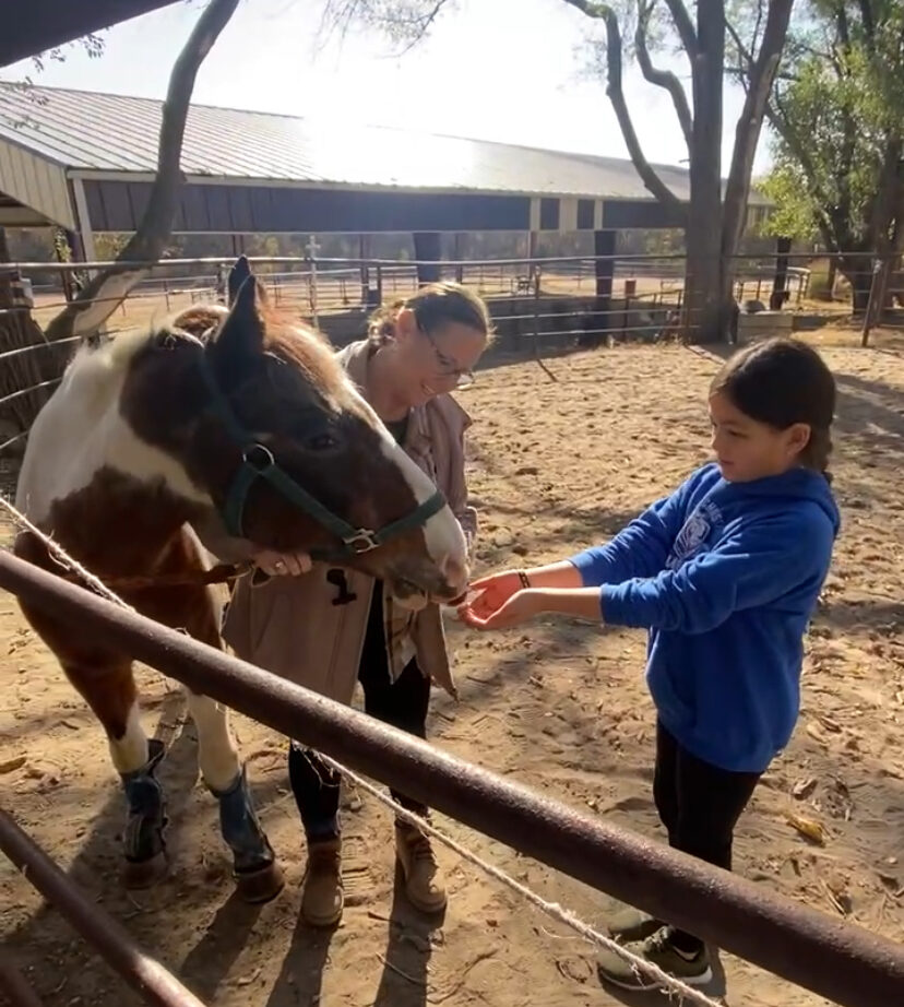 Girl bonding with horse A young girl is holding out her hands while the horse is gently smelling her with a trainer instructing her.